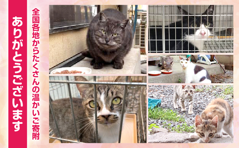 【返礼品なし】動物愛護に関することへの応援寄附(50,000円) 50,000円