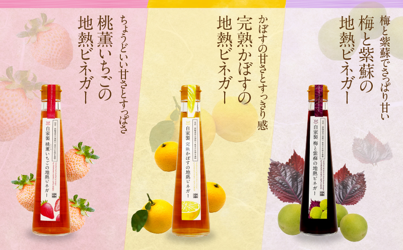 別府鉄輪 地熱ビネガー3種とセミドライフルーツ2種セット_B009-002