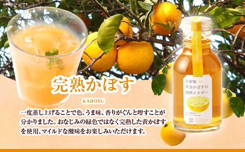 地熱ビネガーミニボトル３種セット_B009-004