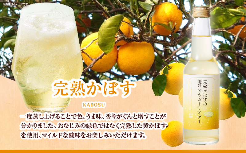 地熱ビネガーサイダーセット(3本)