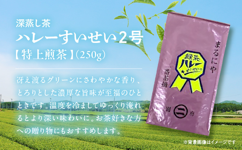 一番茶摘み緑茶ハレーすいせい1号(上煎茶)250g・2号(特上煎茶)250g 2本セット