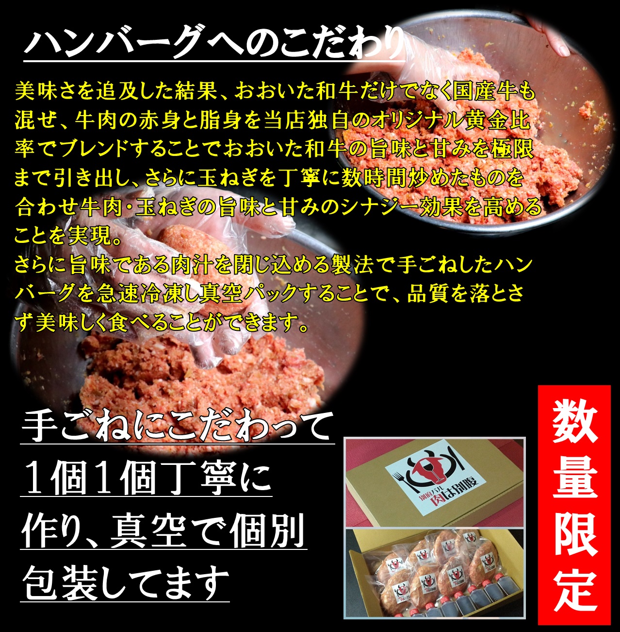 おおいた和牛入ハンバーグ8個