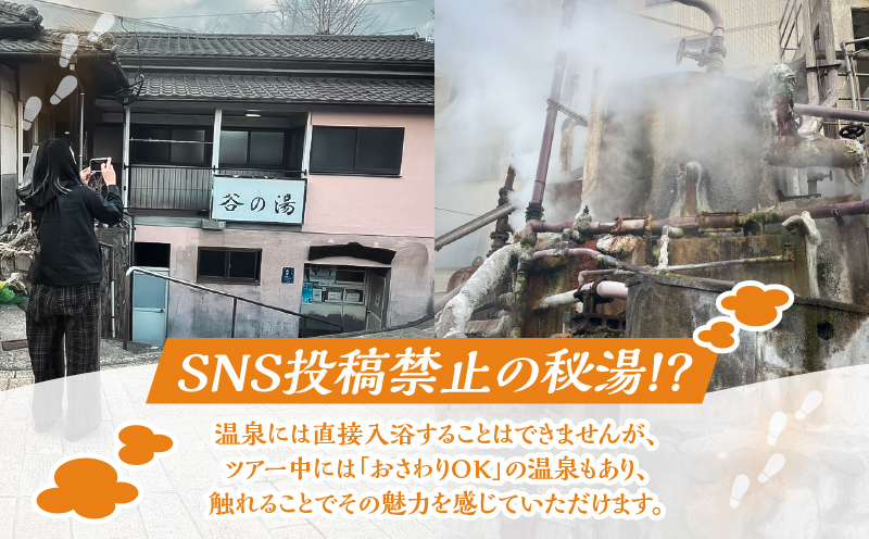 別府 寸止め温泉ガイド付きツアー(ペア参加)