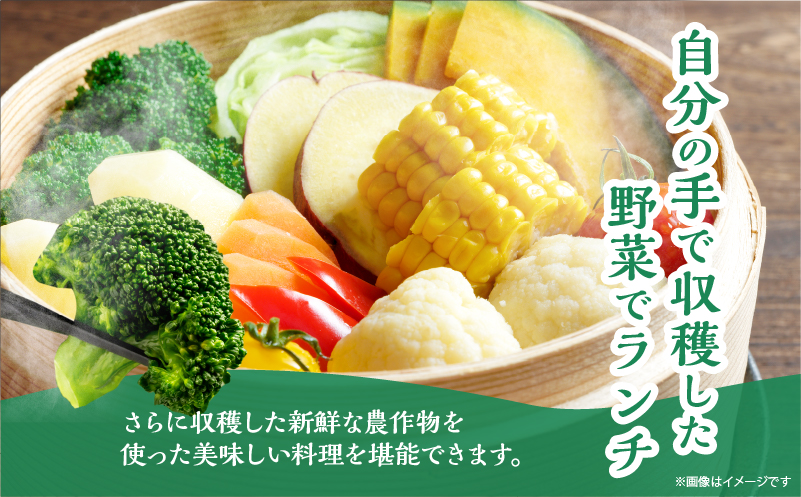 別府 収穫体験ガイド付きツアー