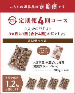 【定期便年4回（3ヵ月に1回）】大分県産中玉どんこ椎茸300ｇ 原木栽培 干し椎茸 訳あり_B063-019