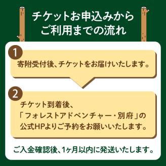 フォレストアドベンチャー　体験チケット【キャノピーコース】