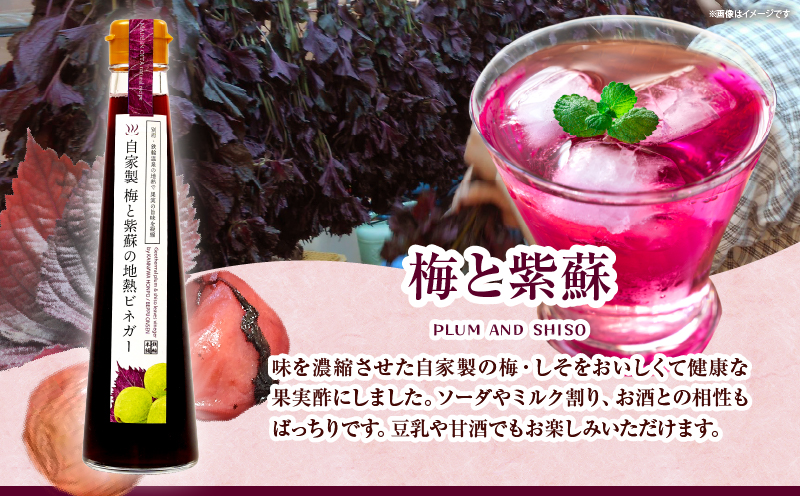 別府鉄輪 地熱ビネガー3種セット【200ml×3本】_B009-001