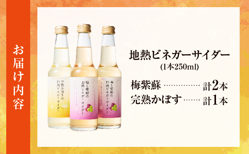 地熱ビネガーサイダーセット(3本)