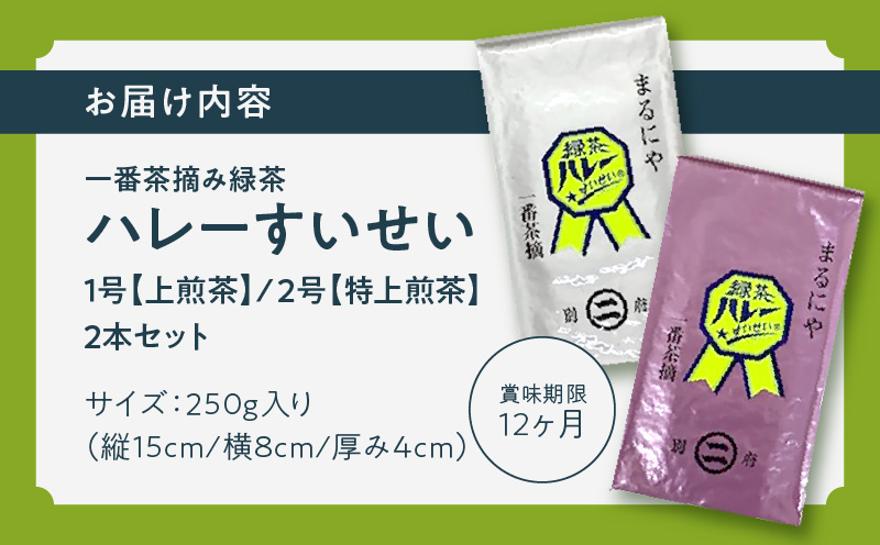 一番茶摘み緑茶ハレーすいせい1号(上煎茶)250g・2号(特上煎茶)250g 2本セット