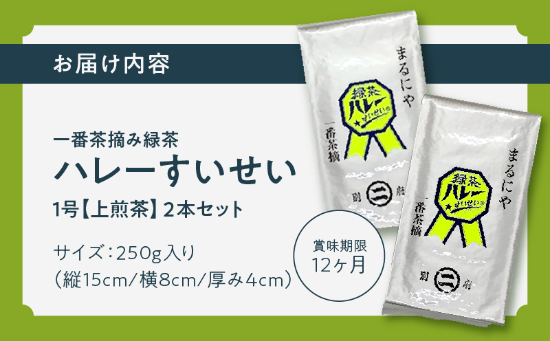 一番茶摘み緑茶ハレーすいせい1号(上煎茶)250g　2本セット