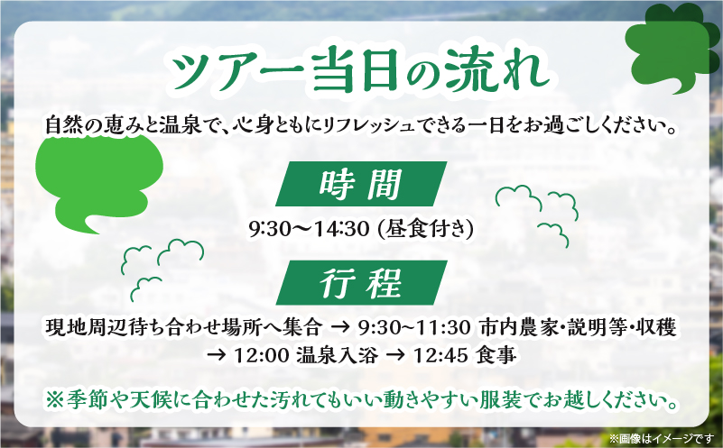 別府 収穫体験ガイド付きツアー