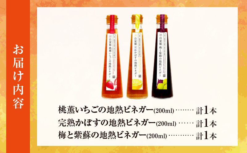 別府鉄輪 地熱ビネガー3種セット【200ml×3本】_B009-001