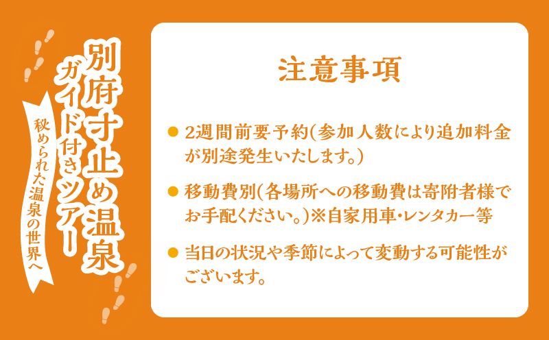 別府 寸止め温泉ガイド付きツアー