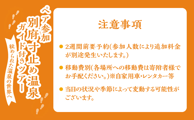 別府 寸止め温泉ガイド付きツアー(ペア参加)