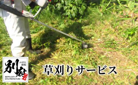 【別府市限定】　草刈りサービス　20㎡まで_ B156-001