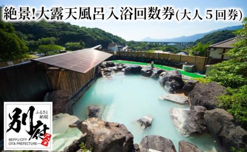 【効能たくさん！白濁の硫黄泉】絶景！大露天風呂入浴回数券（大人５回券）