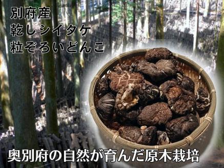 別府産乾しシイタケ 粒ぞろいどんこ　120g箱入り_B051-003