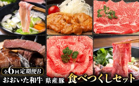 【定期便B】ホテルクオリティおおいた和牛・大分県産豚 食べつくしセット（６回）
