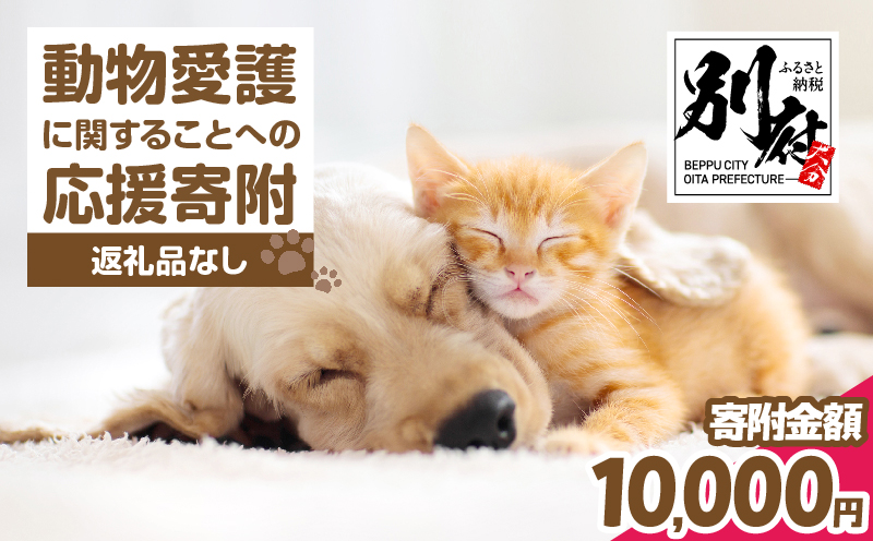 【返礼品なし】動物愛護に関することへの応援寄附(10,000円) 10,000円