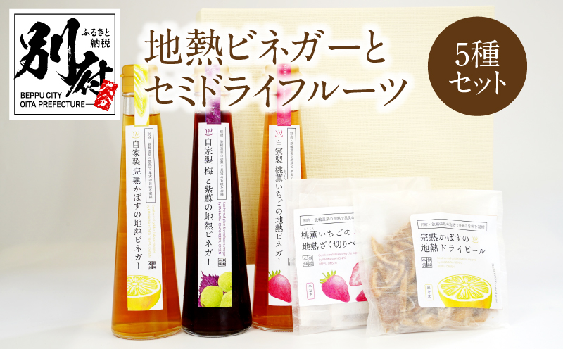 別府鉄輪 地熱ビネガー3種とセミドライフルーツ2種セット_B009-002