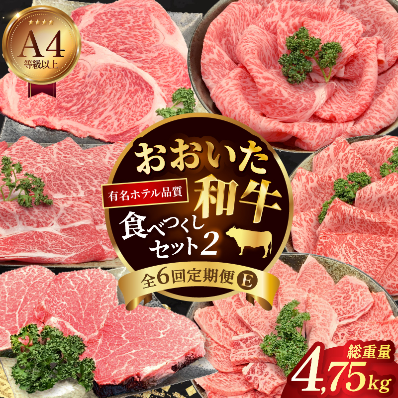 【定期便E】ホテルクオリティ　おおいた和牛 食べつくしセット2（６回）_B028-014