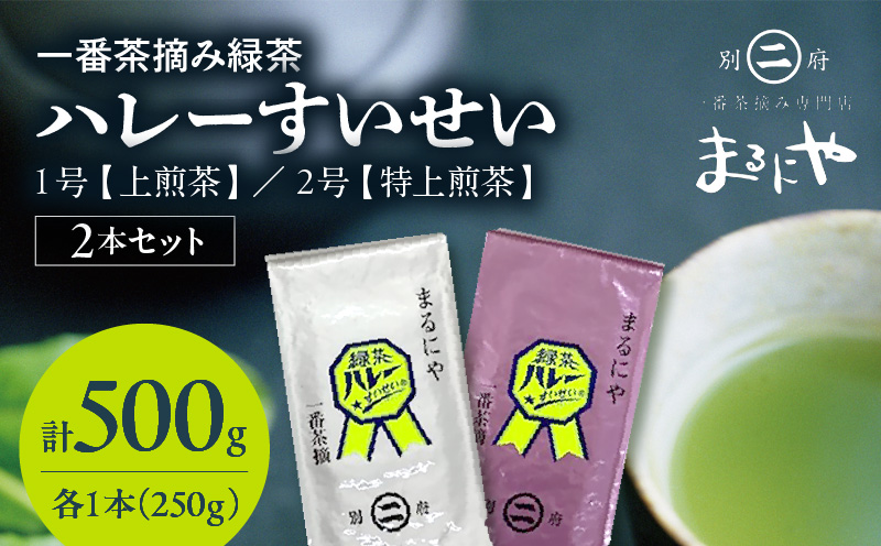 一番茶摘み緑茶ハレーすいせい1号(上煎茶)250g・2号(特上煎茶)250g 2本セット