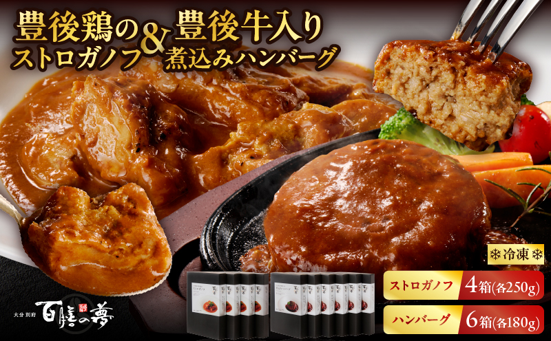 百膳の夢　豊後鶏のストロガノフ＆豊後牛入り煮込みハンバーグギフト_B081-008