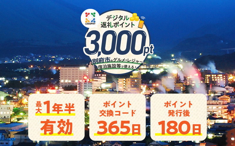 LOCOPAYデジタル返礼ポイント【3,000ポイント】