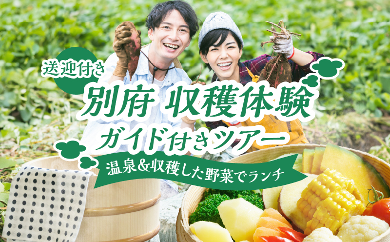 別府 収穫体験ガイド付きツアー(送迎付き)