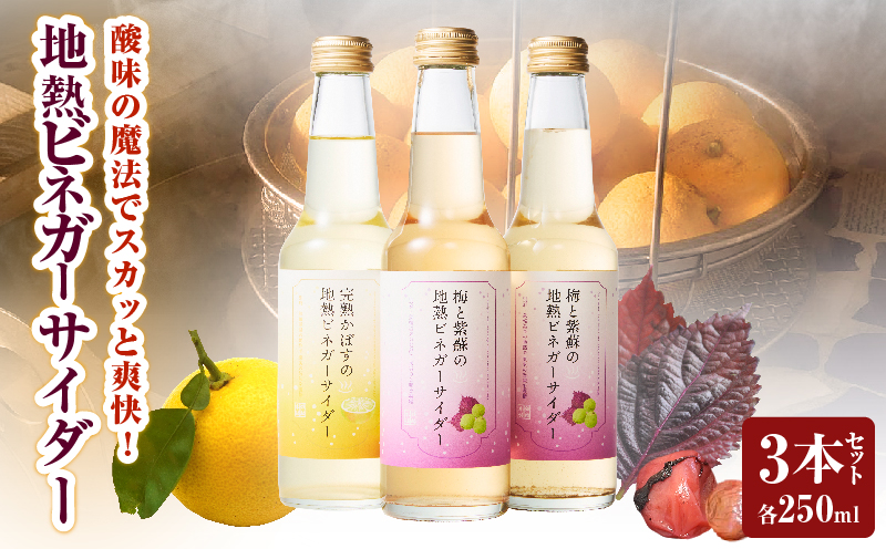 地熱ビネガーサイダーセット(3本)