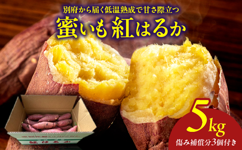 先行予約!!　別府産　蜜いも「紅はるか」5kg