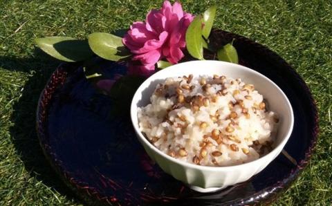 山々と源流の山国町「nakano麦園」の希少な『紫もち麦』ダイシモチ300g×2袋