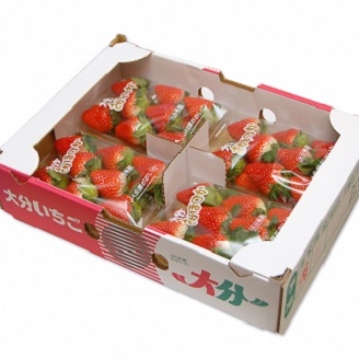 大分県産いちご さがほのか 約 800g ( 200g×4パック ) | 苺 イチゴ いちご ベリー フルーツ 果物 くだもの 九州産 大分県産 国産 産地直送 大分県 中津市