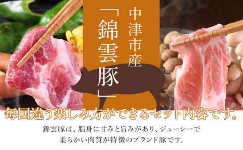 【定期便3回】高級 ブランド 錦雲豚 お米育ちの 錦雲豚 鍋 バラエティ セット 焼き肉 合計3.6kg | お肉 肉 おにく にく 豚 豚肉 ポーク ブランド豚 国産豚 しゃぶしゃぶ 生姜焼き 丼 バラ ロース モモ 詰め合わせ 国産 冷凍 大分県 中津市