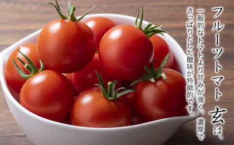 【期間限定】フルーツトマト 玄 2kg×1箱 | ミニトマト ぷちとまと プチトマト 九州産野菜 大分県産 大分県 中津市