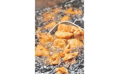 元祖 中津からあげ もり山 骨なし もも肉 500g・鶏めしの素 3合用×1袋 | お肉 肉 おにく にく 鶏 鶏肉 家庭調理 中津からあげ 唐揚げ からあげ から揚げ 冷凍 冷凍食品 お弁当 弁当 おかず お惣菜 惣菜 おつまみ 大分県 中津市