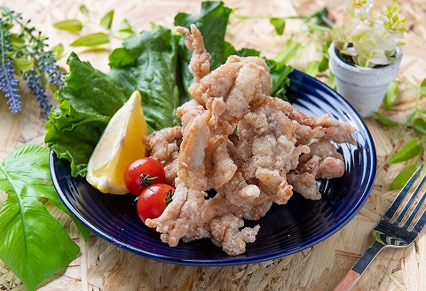 中津からあげ イロトリドリ 彩鶏々 金賞 せせり 1kg | お肉 肉 鶏 鶏肉 家庭調理 中津からあげ 唐揚げ からあげ から揚げ お弁当 弁当 おかず お惣菜 惣菜 おつまみ 大分県 中津市