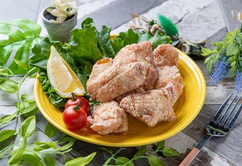 中津からあげ イロトリドリ 彩鶏々 骨なし むね肉 1kg | お肉 肉 鶏 鶏肉 鶏むね肉 家庭調理 中津からあげ 唐揚げ からあげ から揚げ お弁当 弁当 おかず お惣菜 惣菜 おつまみ 大分県 中津市