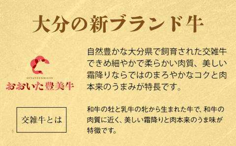 おおいた豊美牛 バラ切り落とし 600g | お肉 肉 おにく にく 牛 交雑牛 牛肉 ブランド牛 和牛 国産牛 バラ バラ肉 切り落とし 切落し 焼き肉 焼肉 ミートクレスト 大分県産 九州産 国産 冷凍 大分県 中津市