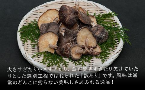 乾燥椎茸 訳あり 椎茸100g×5パック 干し椎茸 しいたけ 乾燥しいたけ 原木 大分県産 九州産 中津市 国産: 中津市ANAのふるさと納税