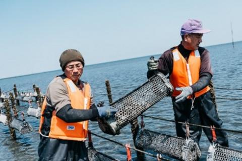 【期間・数量限定】【CAS凍結】ひがた美人殻付き30粒 | 生食可 ブランド牡蠣 殻付き かき カキ 牡蠣 海鮮 貝 カキフライ 牡蠣のグラタン 大分県 中津市