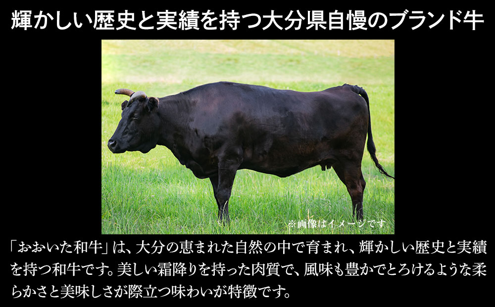 おおいた和牛 すき焼き用スライス600g | 大分県産ブランド和牛 牛肉 すき焼き肉 お中元 お歳暮
