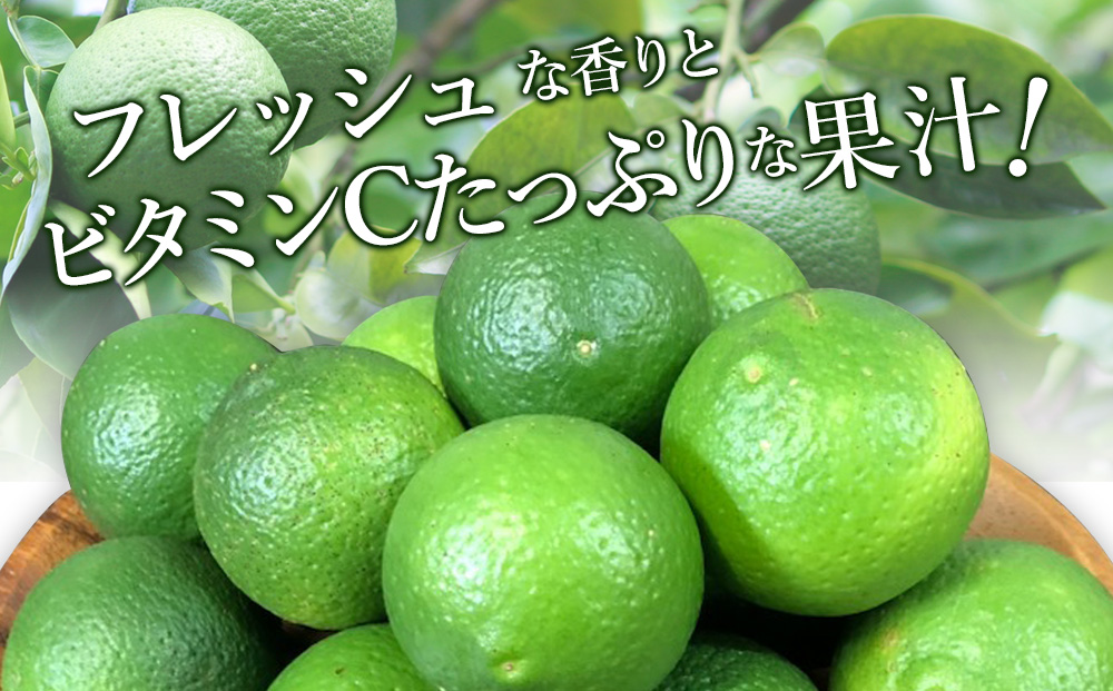 大分県産 かぼす 約 1.8kg | カボス 柑橘 かんきつ かぼす 柑橘類 果物 かぼす くだもの ビタミン フレッシュ かぼす 九州産 国産 大分県 中津市