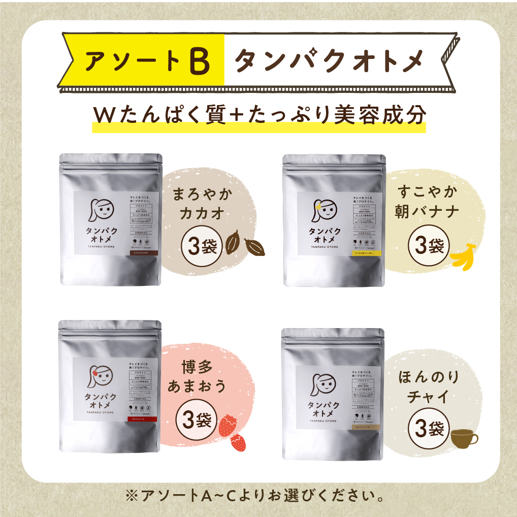 【12ヶ月定期便】プロテイン タンパクオトメ 12ヵ月定期便 B | プロテイン ソイプロテイン ホエイプロテイン 女性 プロテイン 美容 プロテイン プロテインシェイカー プロテイン サプリメント 定期 定期便 タマチャンショップ 大分県 中津市
