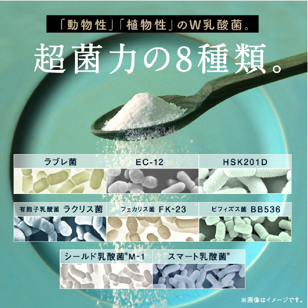 ちょーぐると 1袋 | 乳酸菌 乳酸菌ドリンク 乳酸菌サプリメント 乳酸菌粉末 ヨーグルト 乳酸菌飲料 タマチャンショップ 植物性乳酸菌 菌活 大分県 中津市