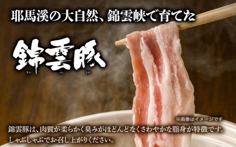 おおいた和牛 錦雲豚 しゃぶしゃぶ セット 合計800g 牛スライス肉(400g) 豚バラ肉(200g) 豚ロース肉(200g) セット ｜ 詰め合わせ おおいた和牛 黒毛和牛 冷凍 豚肉 九州産 国産 送料無料