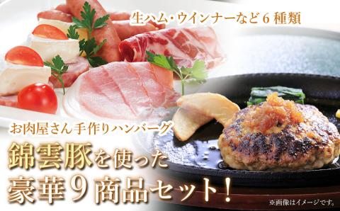 お米育ちの錦雲豚バラエティギフト ハム類・餃子・ハンバーグ・カレー セット | ブランド豚 惣菜 九州産 大分県産 国産 冷凍 送料無料