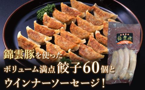 錦雲豚餃子とソーセージのセット レシピ付 餃子60個 ウインナー120g | ブランド豚 錦雲豚 九州産 大分県産 国産 冷凍 送料無料