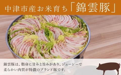 高級 ブランド 錦雲豚 たっぷり 3kg 詰め合わせ 6種 セット | お米育ちの 錦雲豚 しゃぶしゃぶ 生姜焼き 丼 バラ ロース モモ ミンチ うで 豚肉 冷凍 送料無料