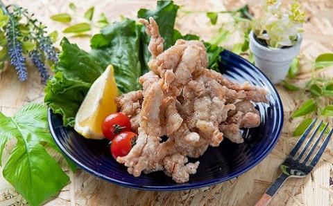 中津からあげ イロトリドリ 彩鶏々 骨なし もも肉 500g ・ 金賞 せせり 500g | お肉 肉 鶏 鶏肉 鶏もも肉 鶏モモ肉 せせり セット 家庭調理 中津からあげ 唐揚げ からあげ から揚げ お弁当 弁当 おかず お惣菜 惣菜 おつまみ 大分県 中津市